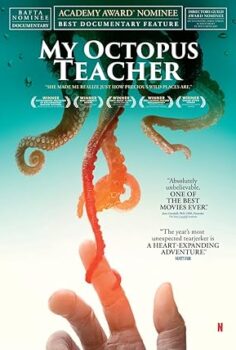 Ahtapottan Öğrendiklerim – My Octopus Teacher