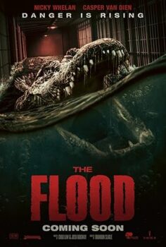 Sel  – The Flood
