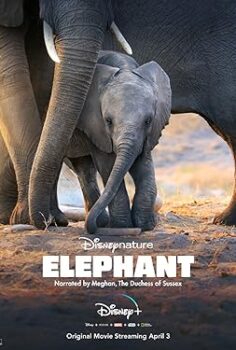 Fil – Elephant