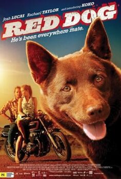 Kırmızı Köpek – Red Dog 2011