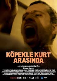 Köpek İle Kurt Arasında 2025